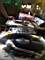 DSC00017.jpg